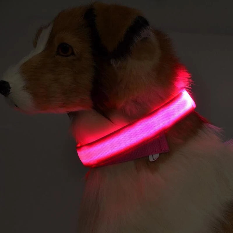 Nylon LED Pet Dog Collar Dogs Luminous Fluorescent Collars Pet Supplies Night Safety Flashing Glow In The Dark Dog Leash - Nunu Pets