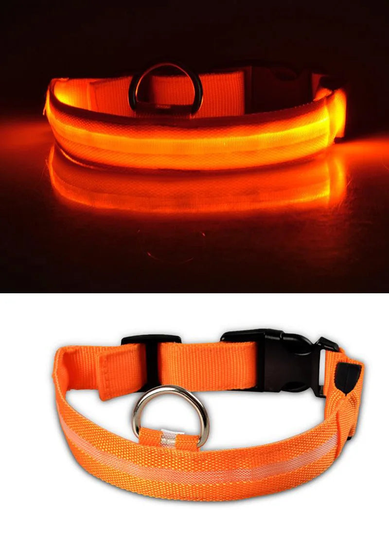 Nylon LED Pet Dog Collar Dogs Luminous Fluorescent Collars Pet Supplies Night Safety Flashing Glow In The Dark Dog Leash - Nunu Pets