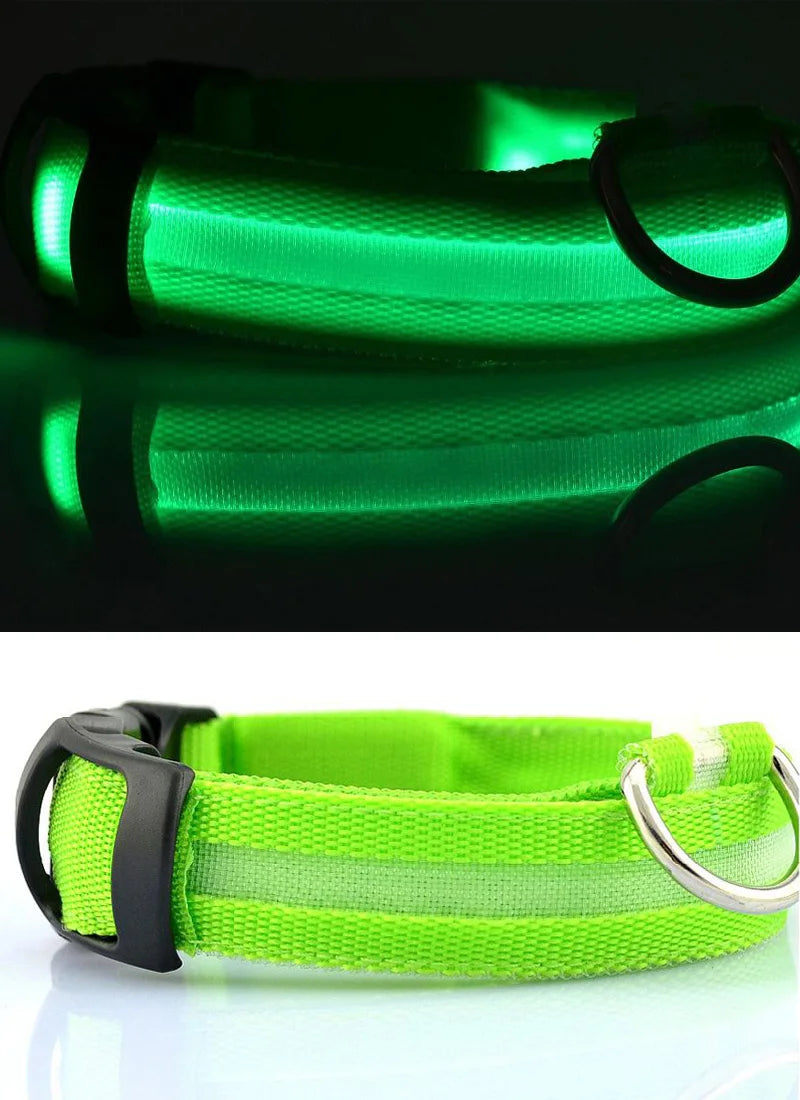 Nylon LED Pet Dog Collar Dogs Luminous Fluorescent Collars Pet Supplies Night Safety Flashing Glow In The Dark Dog Leash - Nunu Pets