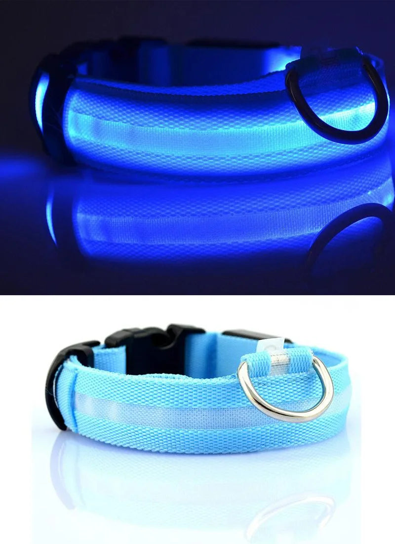 Nylon LED Pet Dog Collar Dogs Luminous Fluorescent Collars Pet Supplies Night Safety Flashing Glow In The Dark Dog Leash - Nunu Pets