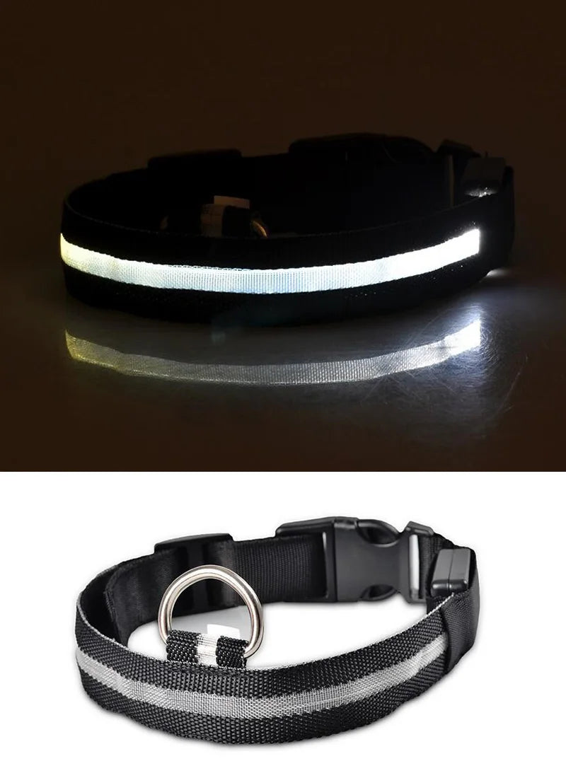 Nylon LED Pet Dog Collar Dogs Luminous Fluorescent Collars Pet Supplies Night Safety Flashing Glow In The Dark Dog Leash - Nunu Pets