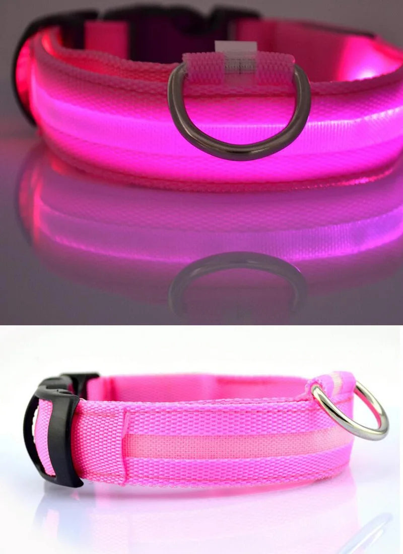 Nylon LED Pet Dog Collar Dogs Luminous Fluorescent Collars Pet Supplies Night Safety Flashing Glow In The Dark Dog Leash - Nunu Pets