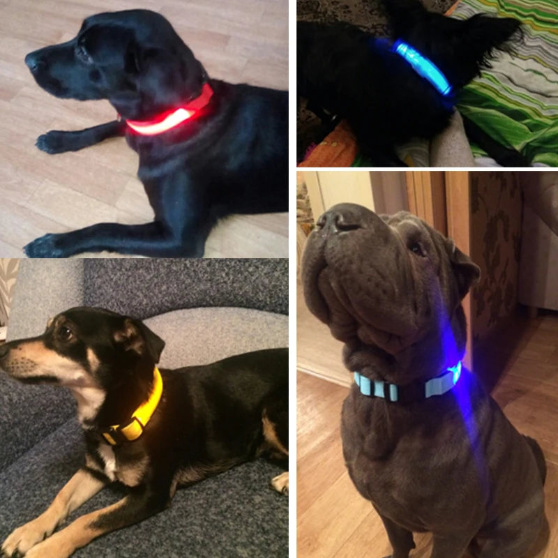 Nylon LED Pet Dog Collar Dogs Luminous Fluorescent Collars Pet Supplies Night Safety Flashing Glow In The Dark Dog Leash - Nunu Pets