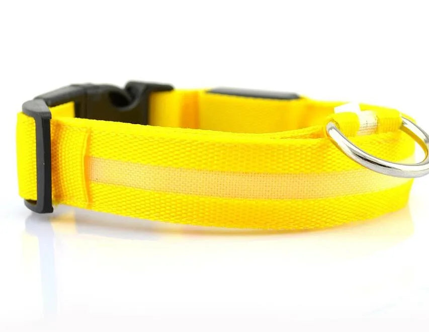 Nylon LED Pet Dog Collar Dogs Luminous Fluorescent Collars Pet Supplies Night Safety Flashing Glow In The Dark Dog Leash - Nunu Pets