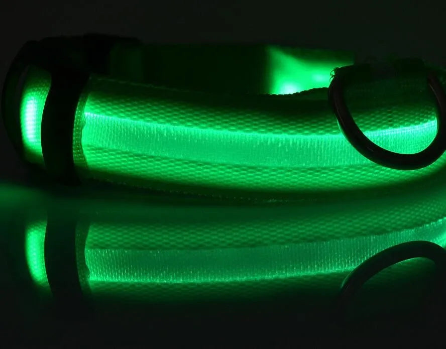 Nylon LED Pet Dog Collar Dogs Luminous Fluorescent Collars Pet Supplies Night Safety Flashing Glow In The Dark Dog Leash - Nunu Pets