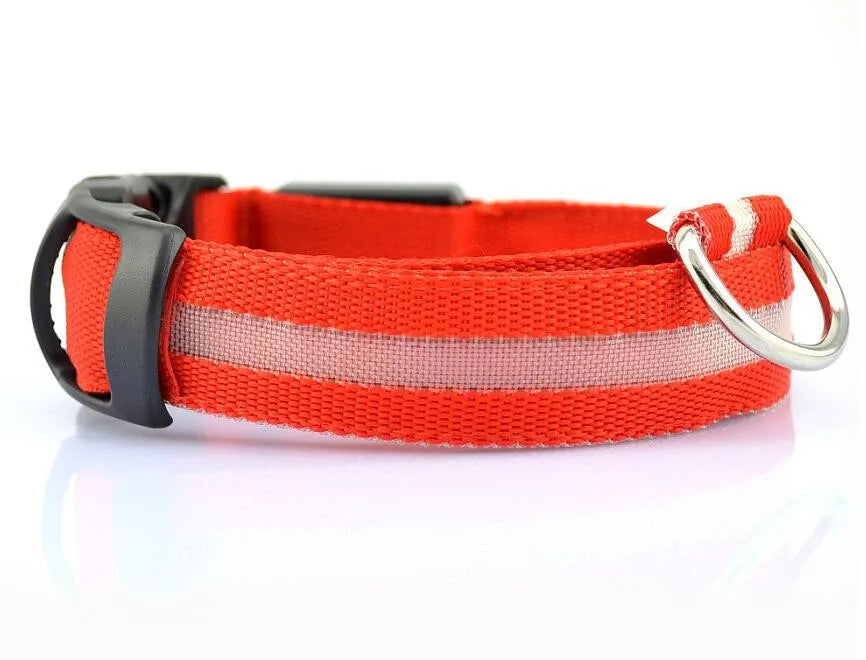 Nylon LED Pet Dog Collar Dogs Luminous Fluorescent Collars Pet Supplies Night Safety Flashing Glow In The Dark Dog Leash - Nunu Pets