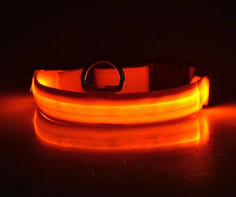 Nylon LED Pet Dog Collar Dogs Luminous Fluorescent Collars Pet Supplies Night Safety Flashing Glow In The Dark Dog Leash - Nunu Pets