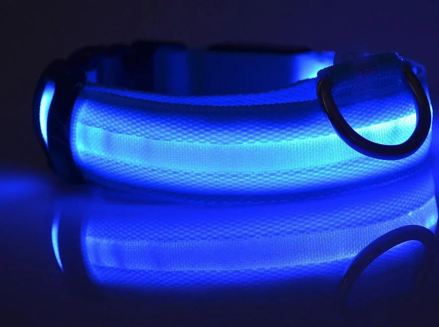 Nylon LED Pet Dog Collar Dogs Luminous Fluorescent Collars Pet Supplies Night Safety Flashing Glow In The Dark Dog Leash - Nunu Pets