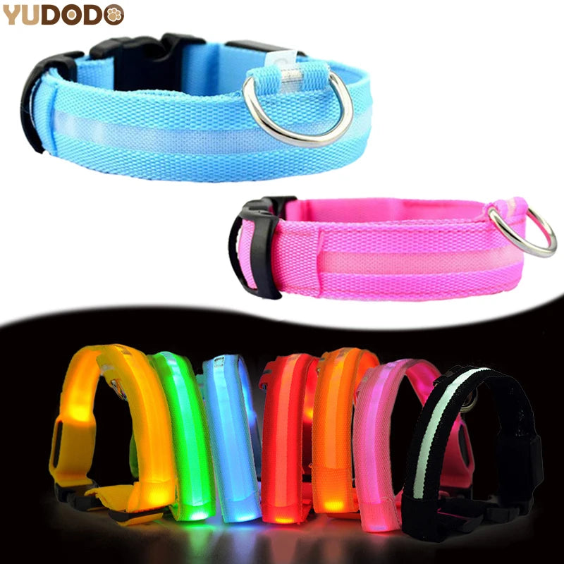 Nylon LED Pet Dog Collar Dogs Luminous Fluorescent Collars Pet Supplies Night Safety Flashing Glow In The Dark Dog Leash - Nunu Pets