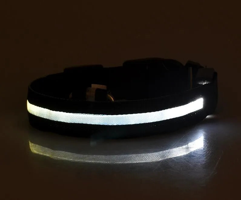 Nylon LED Pet Dog Collar Dogs Luminous Fluorescent Collars Pet Supplies Night Safety Flashing Glow In The Dark Dog Leash - Nunu Pets