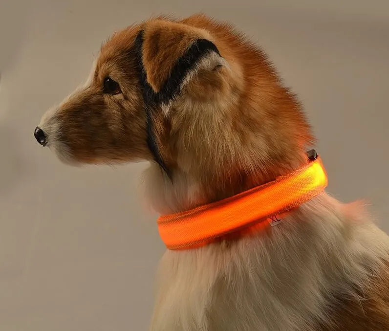 Nylon LED Pet Dog Collar Dogs Luminous Fluorescent Collars Pet Supplies Night Safety Flashing Glow In The Dark Dog Leash - Nunu Pets