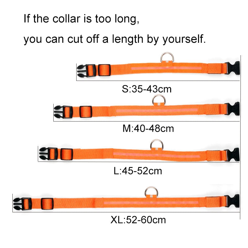 Nylon LED Pet Dog Collar Dogs Luminous Fluorescent Collars Pet Supplies Night Safety Flashing Glow In The Dark Dog Leash - Nunu Pets