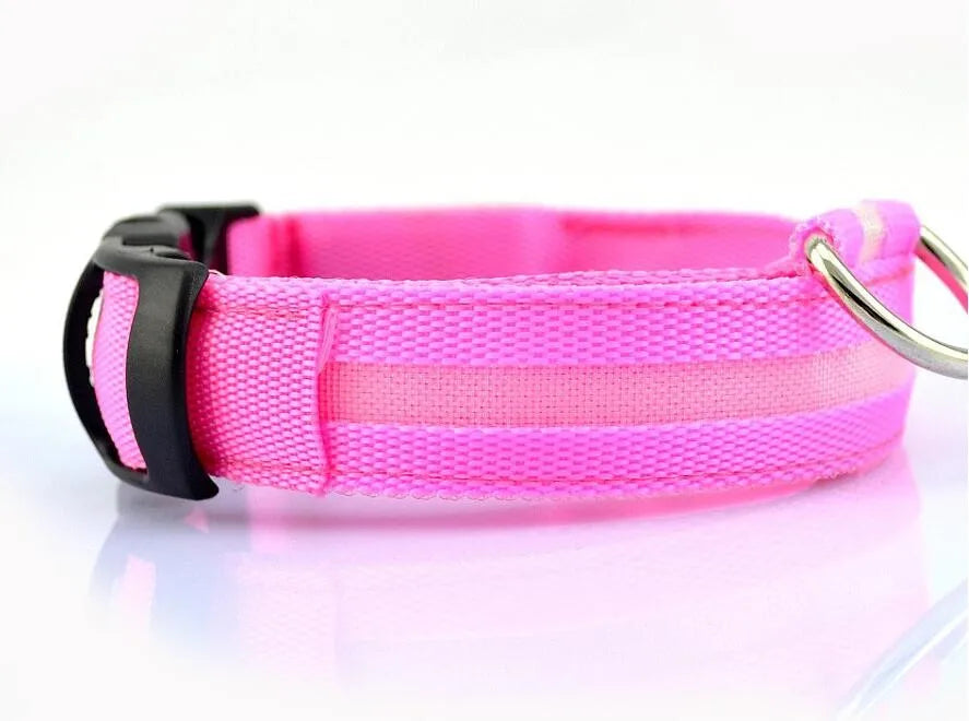 Nylon LED Pet Dog Collar Dogs Luminous Fluorescent Collars Pet Supplies Night Safety Flashing Glow In The Dark Dog Leash - Nunu Pets