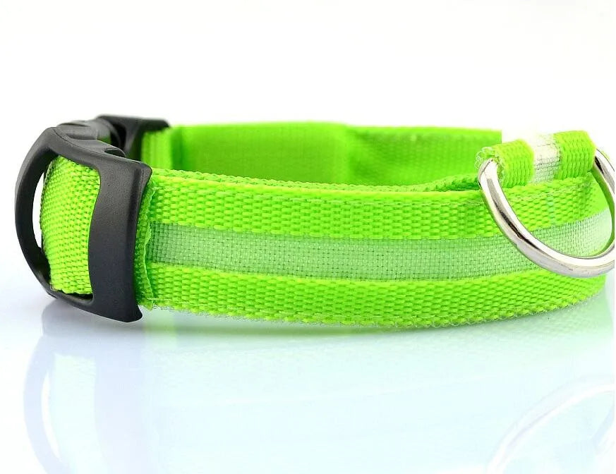 Nylon LED Pet Dog Collar Dogs Luminous Fluorescent Collars Pet Supplies Night Safety Flashing Glow In The Dark Dog Leash - Nunu Pets