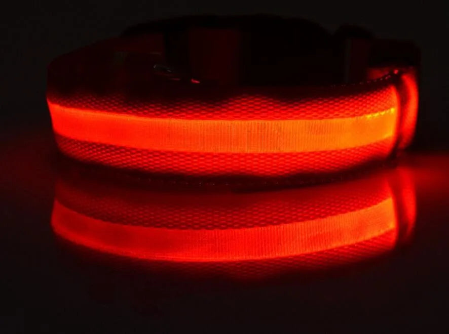 Nylon LED Pet Dog Collar Dogs Luminous Fluorescent Collars Pet Supplies Night Safety Flashing Glow In The Dark Dog Leash - Nunu Pets
