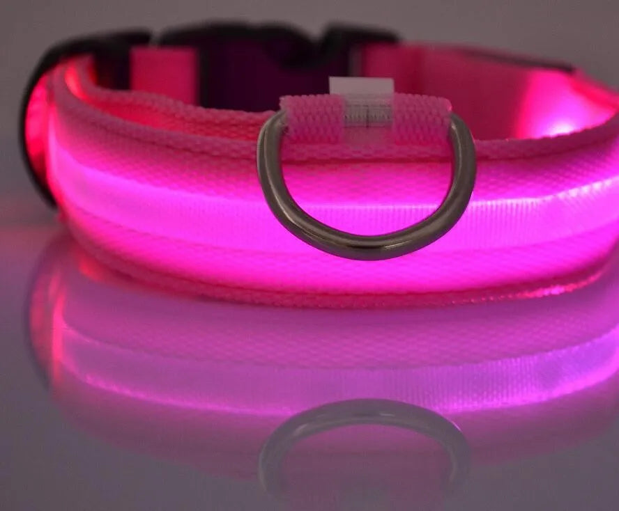 Nylon LED Pet Dog Collar Dogs Luminous Fluorescent Collars Pet Supplies Night Safety Flashing Glow In The Dark Dog Leash - Nunu Pets