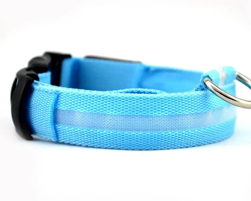Nylon LED Pet Dog Collar Dogs Luminous Fluorescent Collars Pet Supplies Night Safety Flashing Glow In The Dark Dog Leash - Nunu Pets