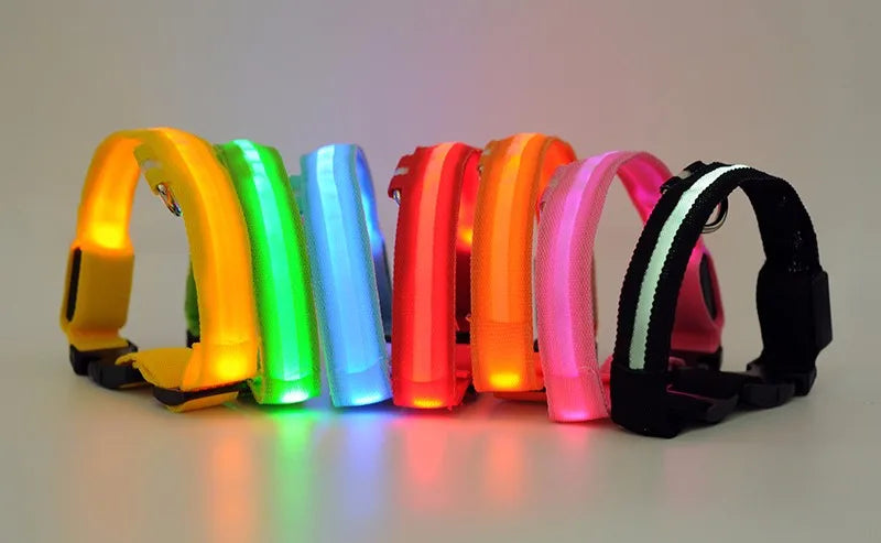 Nylon LED Pet Dog Collar Dogs Luminous Fluorescent Collars Pet Supplies Night Safety Flashing Glow In The Dark Dog Leash - Nunu Pets