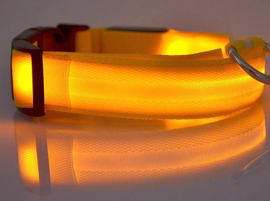 Nylon LED Pet Dog Collar Dogs Luminous Fluorescent Collars Pet Supplies Night Safety Flashing Glow In The Dark Dog Leash - Nunu Pets