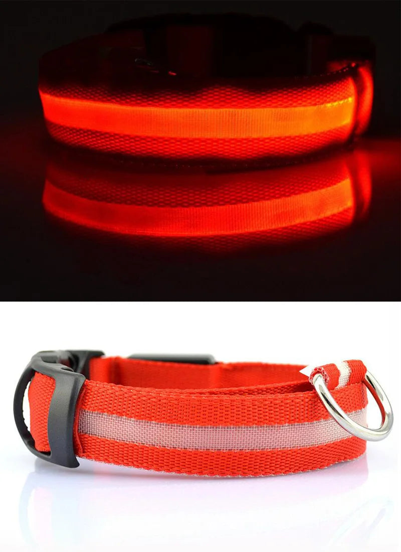 Nylon LED Pet Dog Collar Dogs Luminous Fluorescent Collars Pet Supplies Night Safety Flashing Glow In The Dark Dog Leash - Nunu Pets