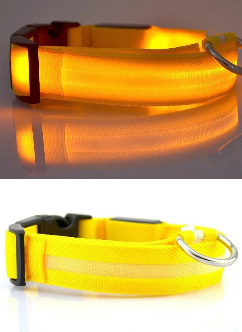 Nylon LED Pet Dog Collar Dogs Luminous Fluorescent Collars Pet Supplies Night Safety Flashing Glow In The Dark Dog Leash - Nunu Pets