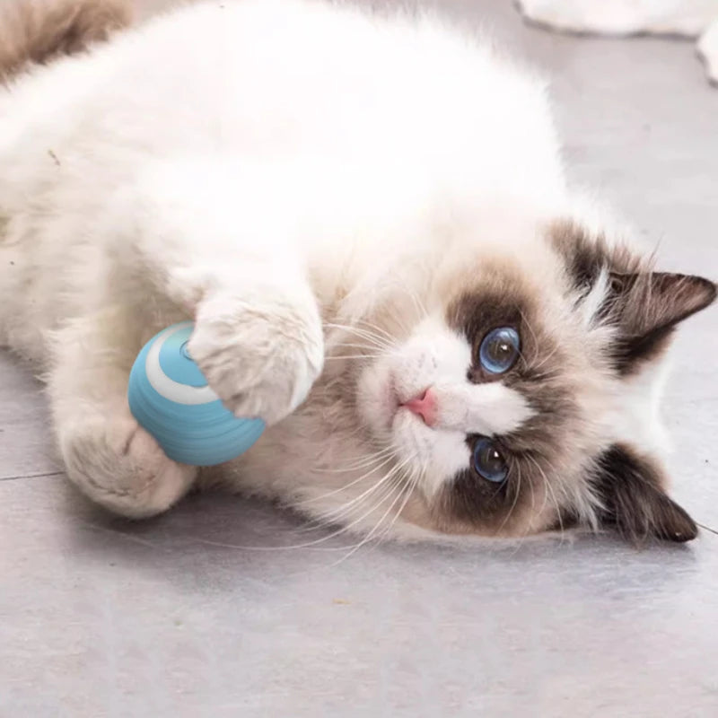 Cat Interactive Ball Training Self-moving Kitten Electric Cat Ball Toys Electronic Automatic Rolling Magic Ball Toys for Cat - Nunu Pets
