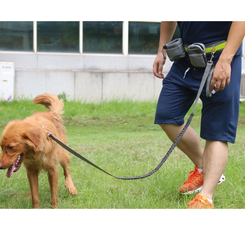 Adjustable Hands Free Dog Leash - Nunu Pets