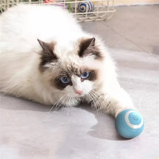 Cat Interactive Ball Training Self-moving Kitten Electric Cat Ball Toys Electronic Automatic Rolling Magic Ball Toys for Cat - Nunu Pets