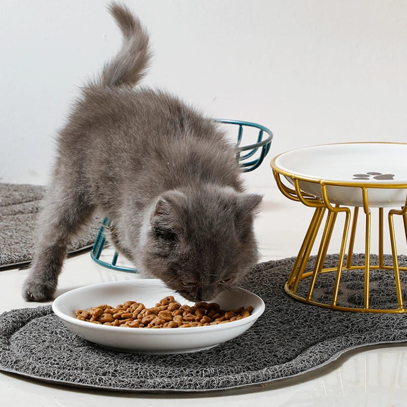 1 Set Pet Ceramic Bowl Iron Rack Cat Food Snacks Canned Plate Anti-Black Chin Anti-Turning Water Does Not Leak Easy To Eat - Nunu Pets