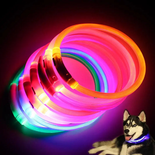 LED Light Dog Collar Necklace Rubber Rechargeable Luminous USB Charging Puppy Light Collar for Outdoor - Nunu Pets